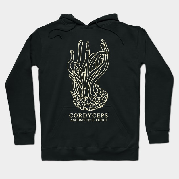 Cordyceps Ascomycete Fungi Hoodie by valentinahramov